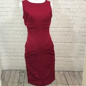 Cynthia Steffe Bodycon dress